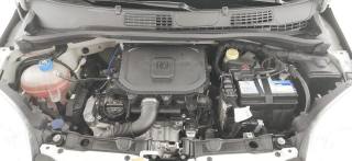 FIAT Panda usata 55