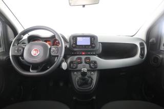 FIAT Panda usata 4