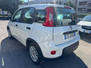 FIAT Panda usata, con Autoradio