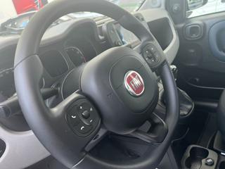FIAT Panda Cross usata, con Controllo trazione