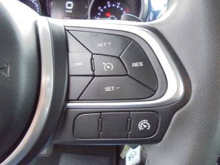 FIAT 500L usata 41