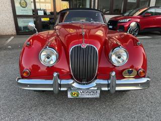 JAGUAR XK usata 1
