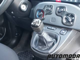 FIAT Panda usata 13