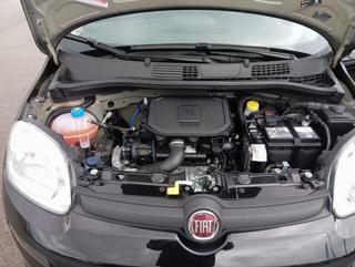 FIAT Panda usata 20