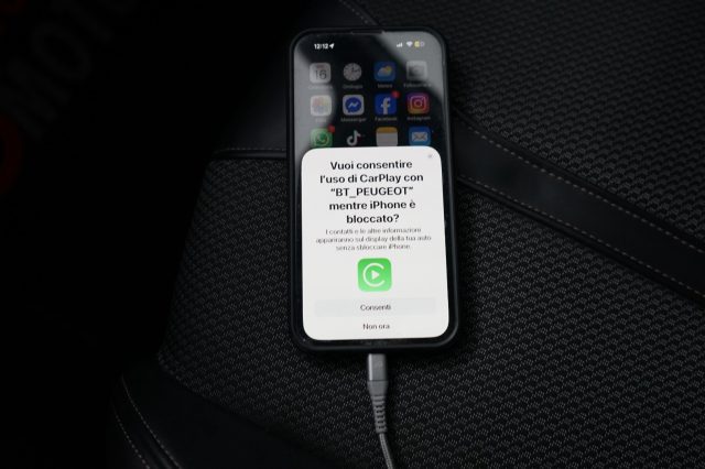 PEUGEOT 3008 usata 45