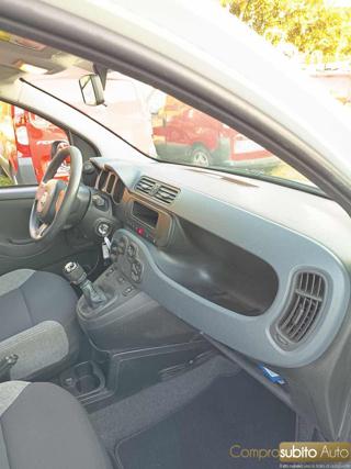 FIAT Panda usata, con Airbag testa