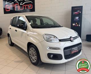 FIAT Panda usata, con Airbag laterali