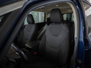 FORD S-Max usata, con Fendinebbia