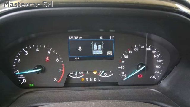 FORD Puma usata, con Climatizzatore