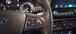 FORD EcoSport usata 22