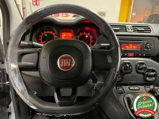 FIAT Panda usata 13