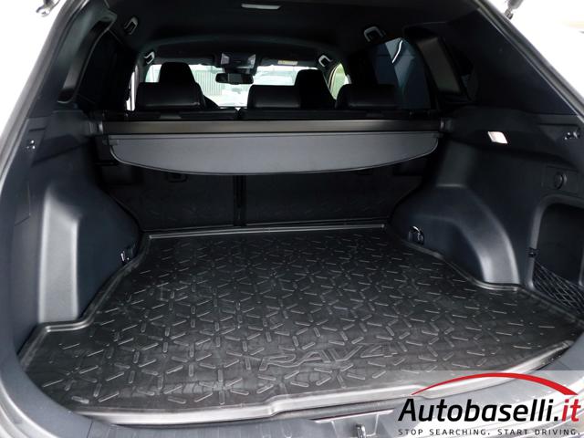 TOYOTA RAV 4 usata, con Streaming musicale integrato