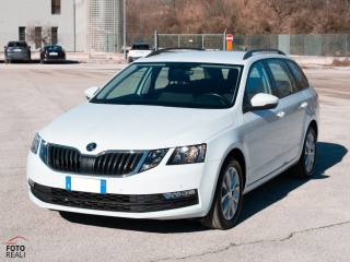 SKODA Octavia usata, con Airbag laterali