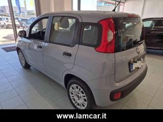 FIAT Panda usata, con Chiusura centralizzata telecomandata