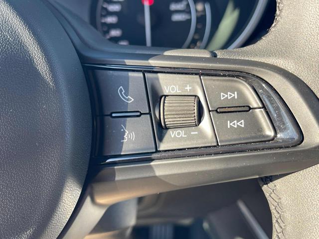 ALFA ROMEO Stelvio usata 20