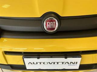 FIAT Panda usata 17
