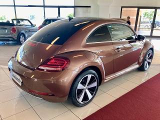VOLKSWAGEN Maggiolino usata, con Airbag Passeggero