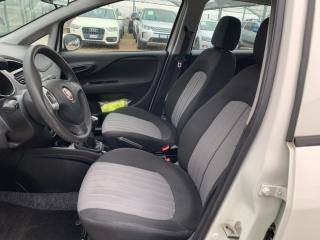 FIAT Punto usata, con Climatizzatore