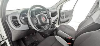 FIAT Panda usata 36