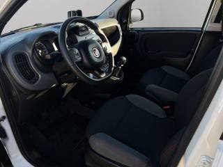 FIAT Panda usata 6
