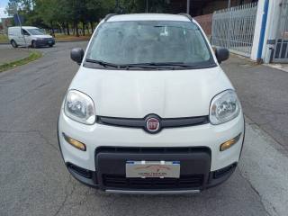 FIAT Panda usata 35
