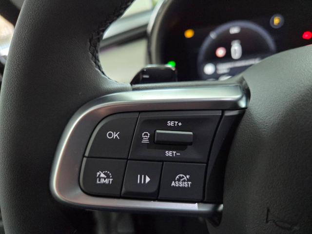 FIAT 600 usata, con Cronologia tagliandi