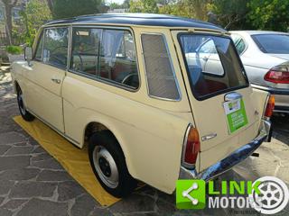 AUTOBIANCHI Bianchina usata 37