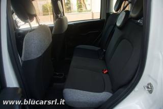 FIAT Panda usata, con ESP