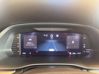 SKODA Octavia usata 13