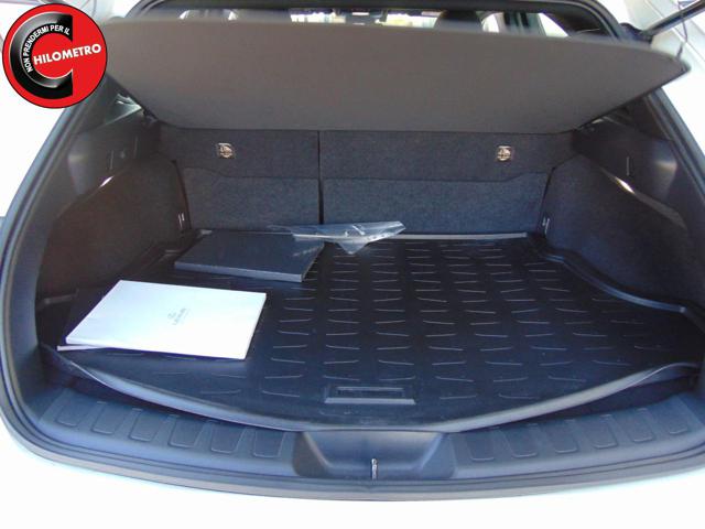 LEXUS UX 250h usata, con Cruise Control