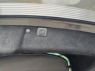 OPEL Insignia usata, con Servosterzo