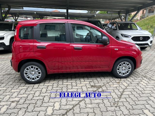 FIAT Panda usata, con Antifurto