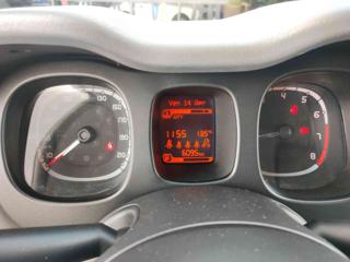 FIAT Panda usata, con Volante multifunzione