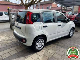 FIAT Panda usata, con Antifurto