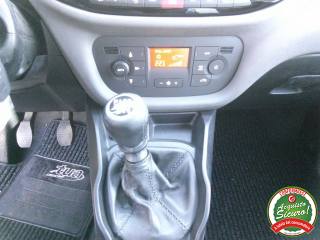 FIAT Doblo usata 17