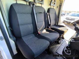 FIAT  usata 11