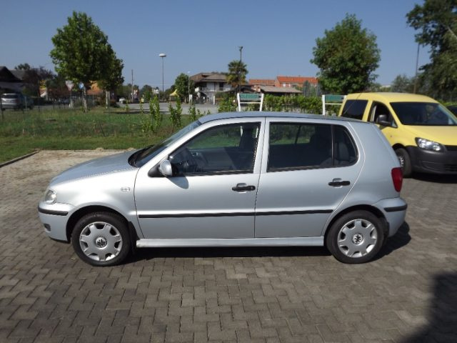 VOLKSWAGEN Polo usata, con Chiusura centralizzata