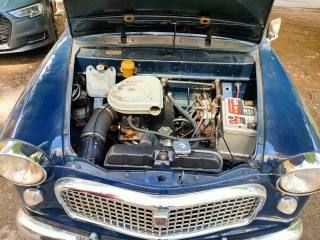 FIAT 1100 usata 16