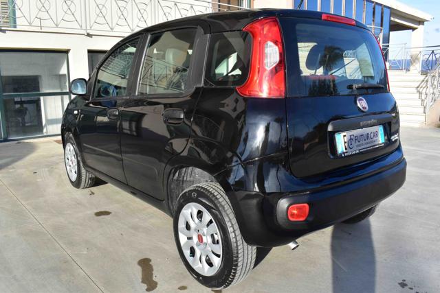 FIAT Panda usata 13