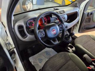 FIAT Panda usata, con Chiusura centralizzata