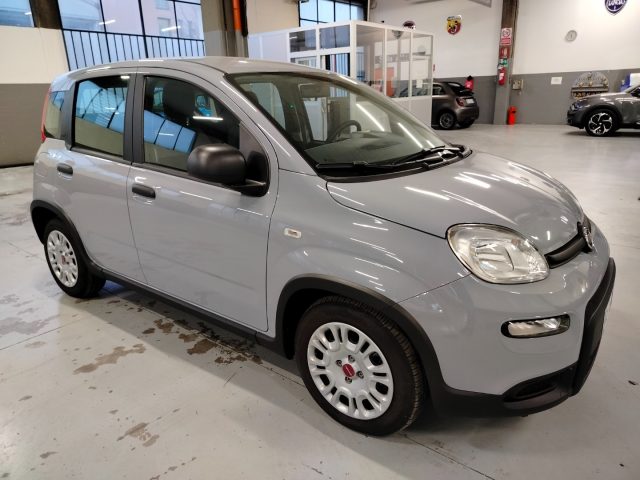 FIAT Panda usata, con Antifurto