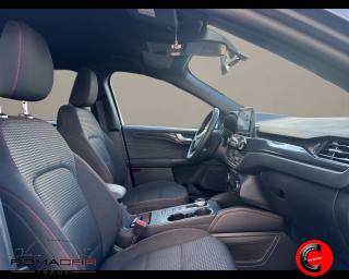 FORD Kuga usata, con Fari LED