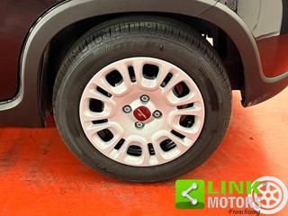 FIAT Panda usata 21