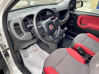 FIAT Panda usata, con Cronologia tagliandi