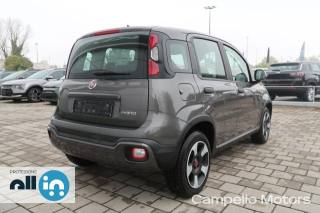 FIAT Panda usata 2