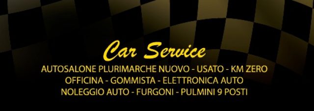 VOLKSWAGEN Polo usata, con Bracciolo
