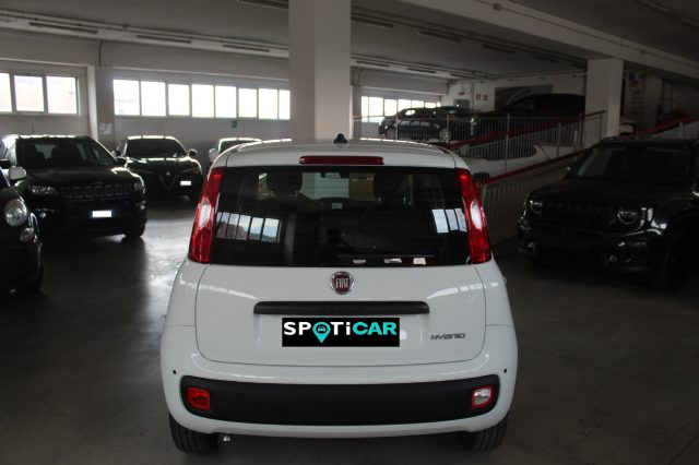 FIAT Panda usata, con Alzacristalli elettrici