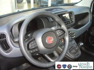 FIAT Panda usata 12