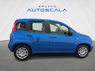 FIAT New Panda usata, con Airbag laterali