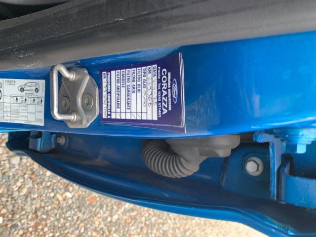 FORD Fiesta usata, con Servosterzo